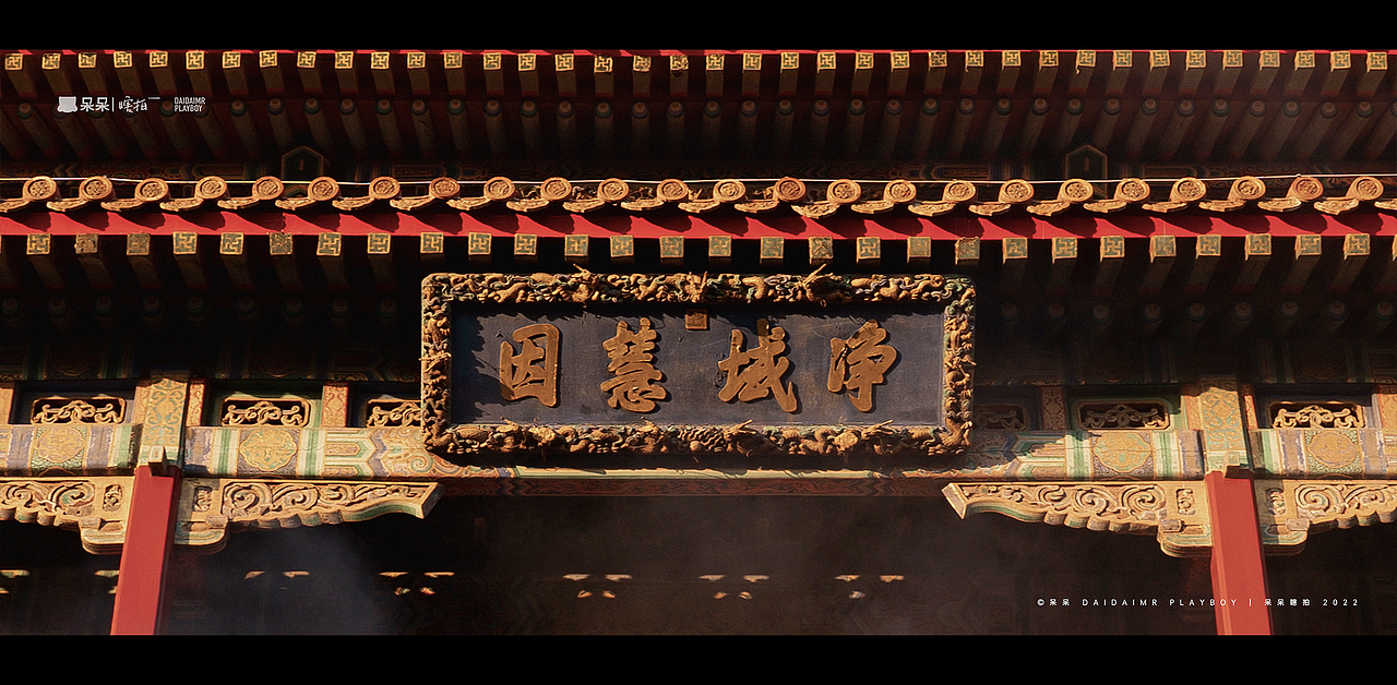 呆呆瞎拍 | 生活就像电影，要有仪式感（图ZMjg3NTYyMjUy） - 人文/纪实摄影 - 站酷设计师呆小东原创素材 - 站酷ZCOOL