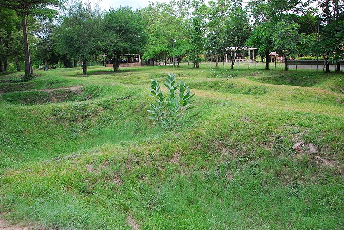 祭骨塔里面的残骸都是从每一个深坑中挖出来的，在林叶茂盛的阴凉处的坑仍然有一股刺鼻的腥臭味。