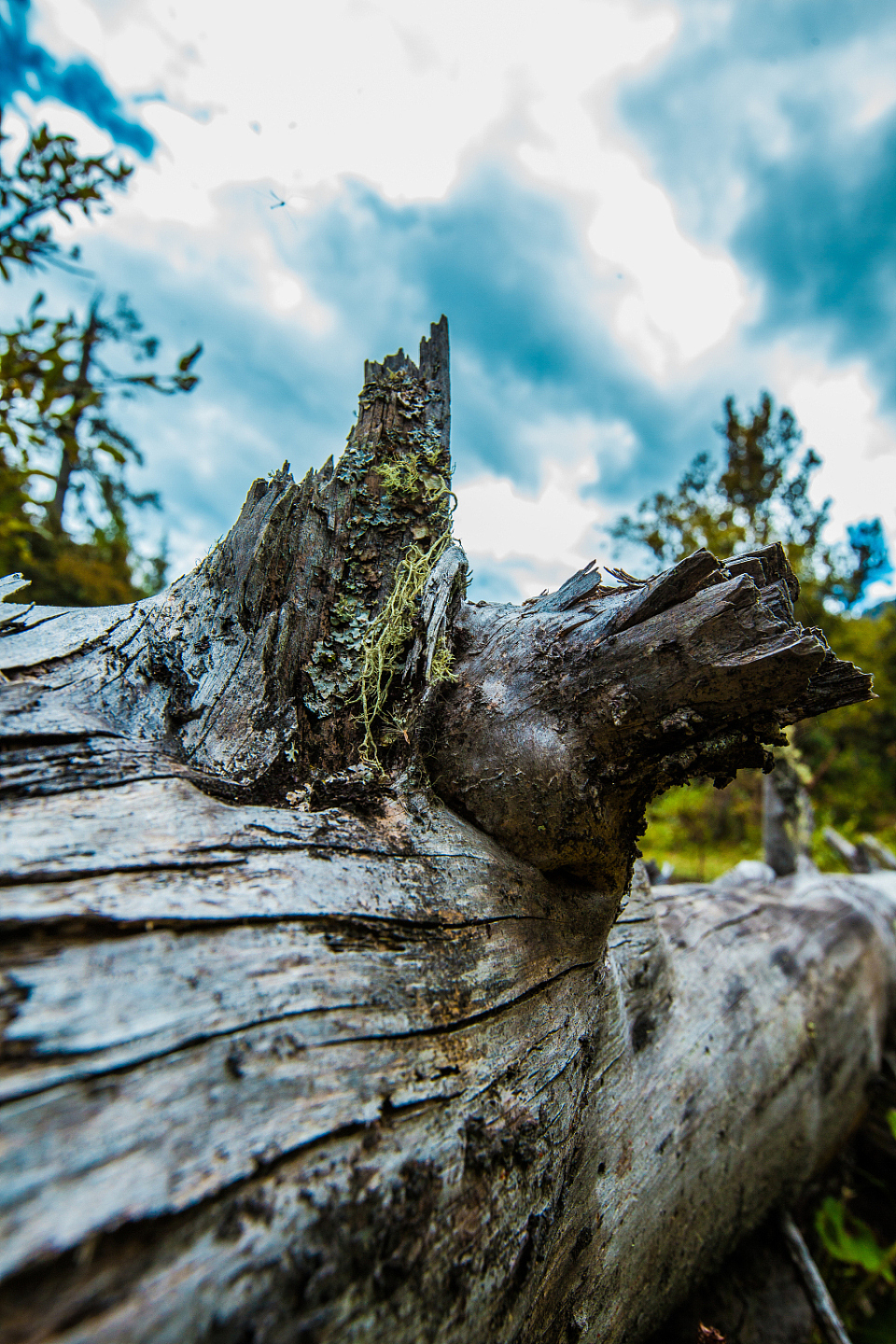 《那年西藏行》--周恩旭