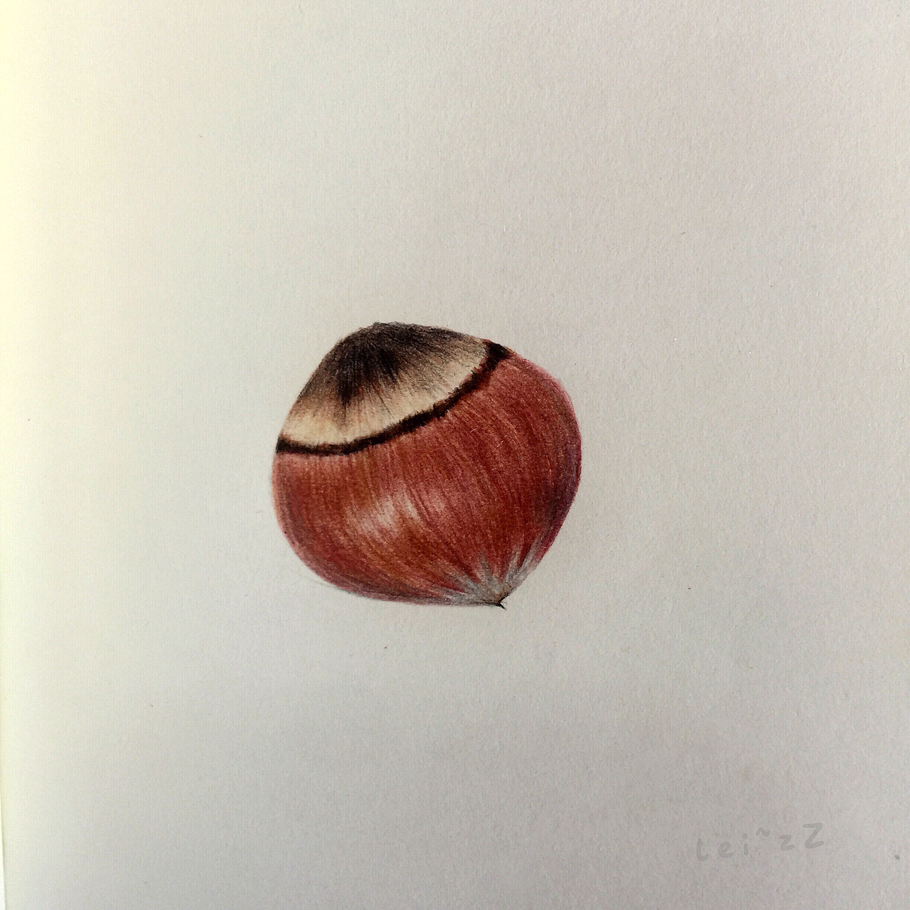 彩铅练习-冬日美食