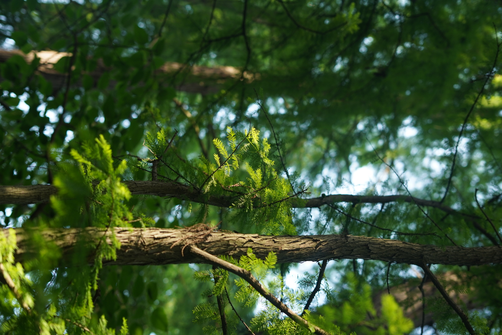 攝影師舒也的個(gè)人主頁（封面預(yù)覽） - 主頁封面設(shè)置 - 站酷設(shè)計(jì)師攝影師舒也原創(chuàng)素材 - 站酷ZCOOL