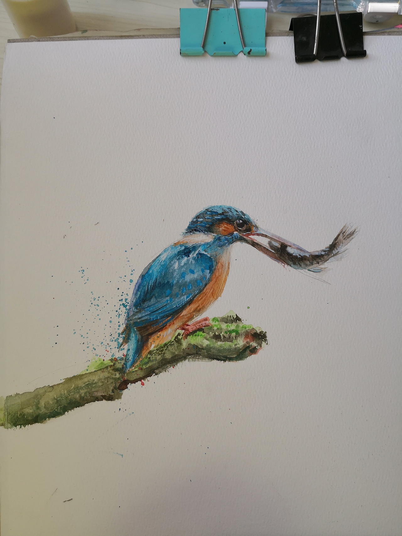 水彩画了一只翠鸟