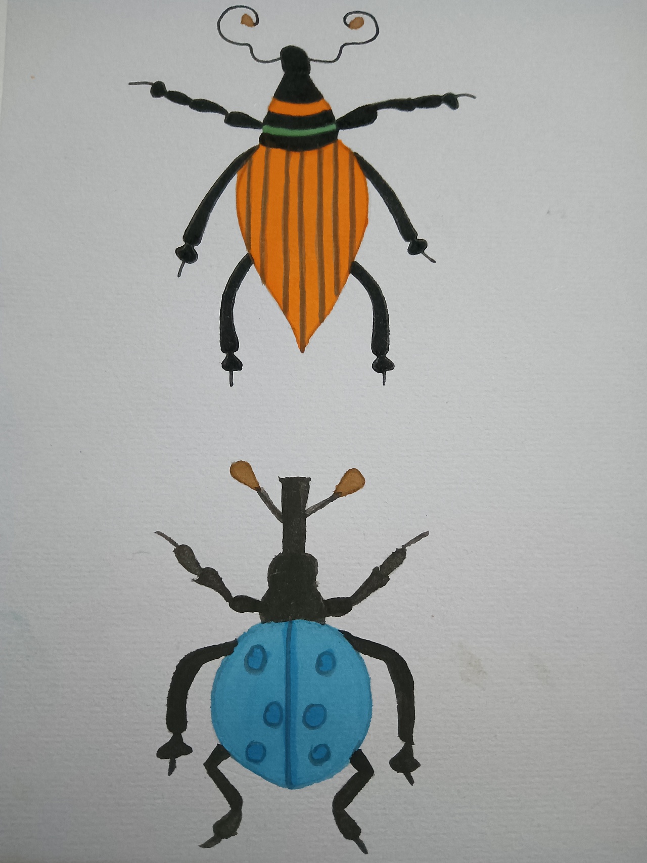 昆虫|插画|创作习作|深海珍珠 - 原创作品 - 站酷 (zcool)