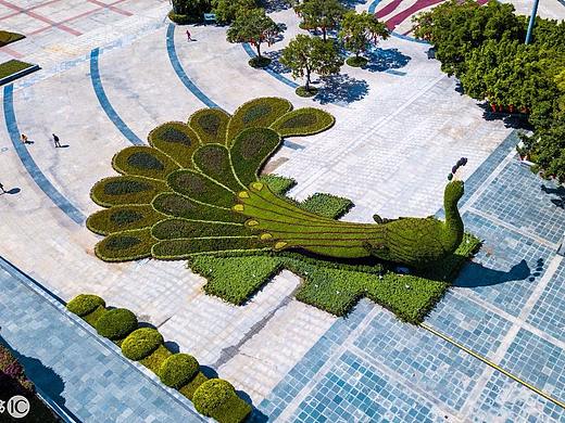 深圳市园博园国庆氛围营造绿雕设计