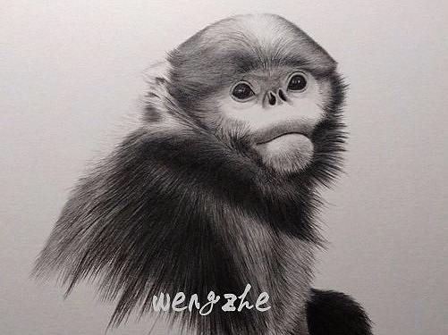 最近一年画的