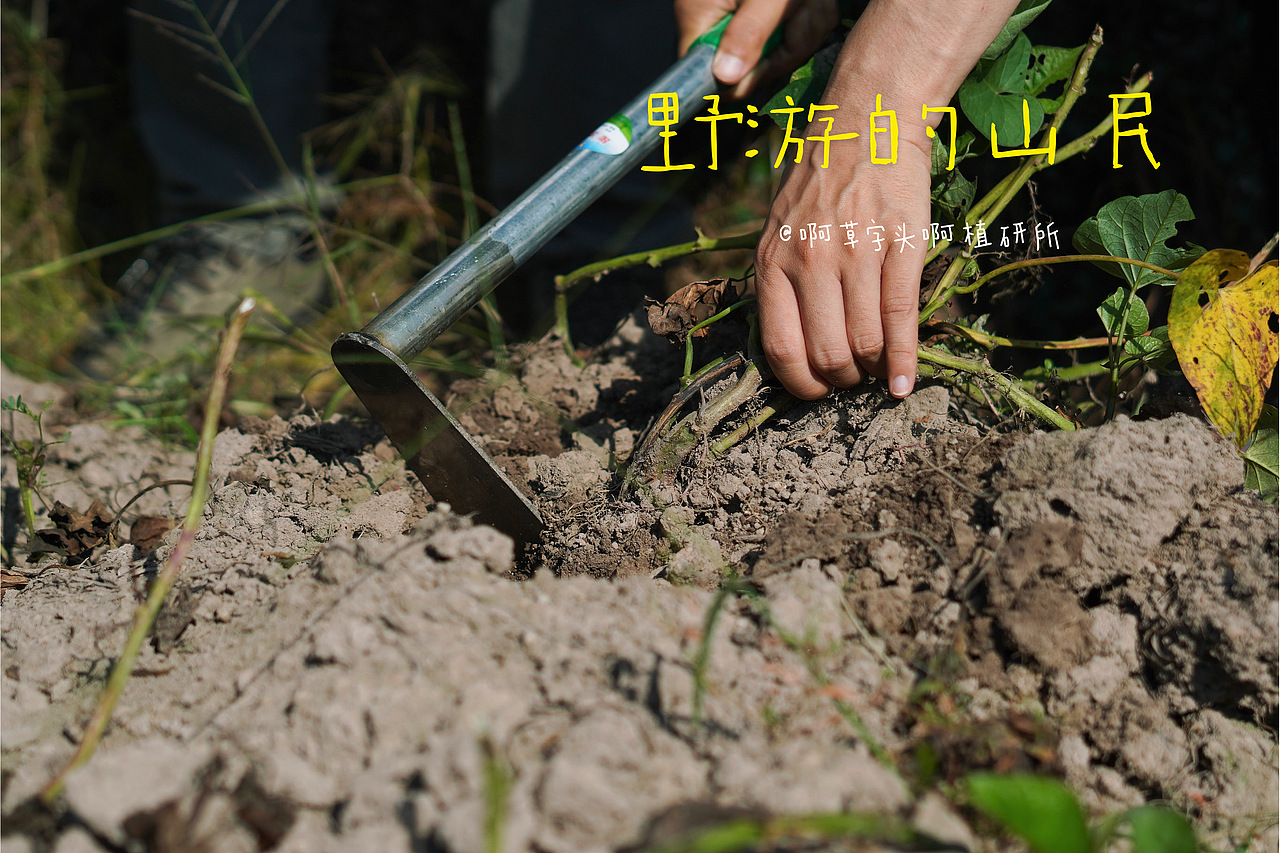 国庆营-野游的山民02