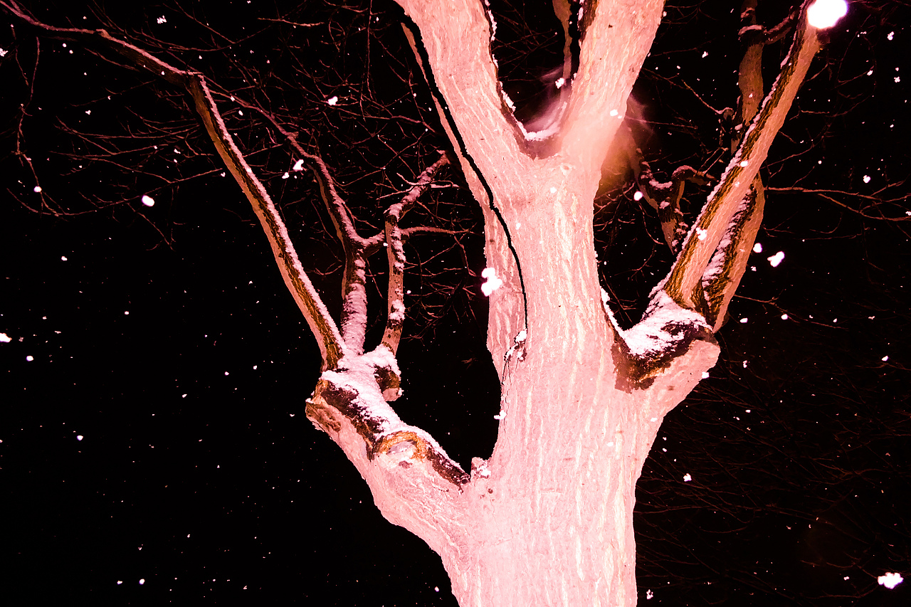 天外来客（图ZMTkyNDQ0NDI4） - 风光摄影 - 站酷设计师摄影师索索原创素材 - 站酷ZCOOL