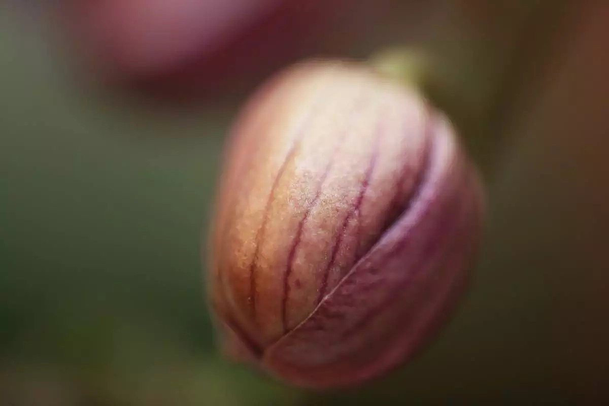 2015的行走-—风景 小品