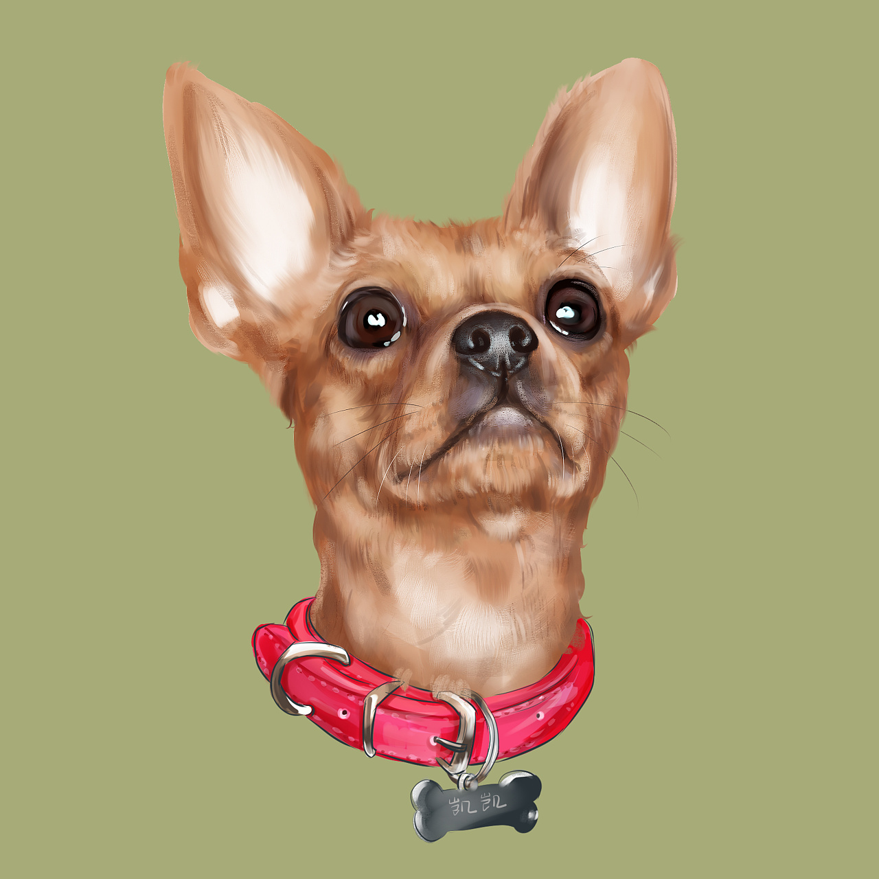 宠物手绘 宠物插画 吉娃娃