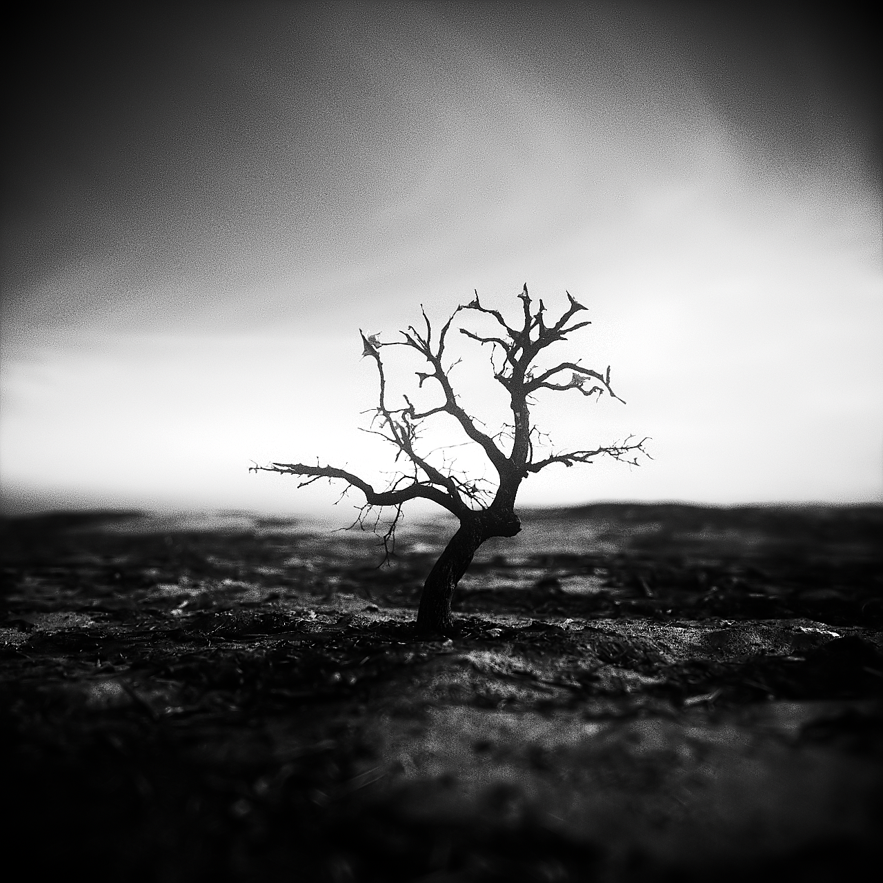 搁浅（图ZMjU1ODg4MTc2） - 场景 - 站酷设计师R_in_原创素材 - 站酷ZCOOL