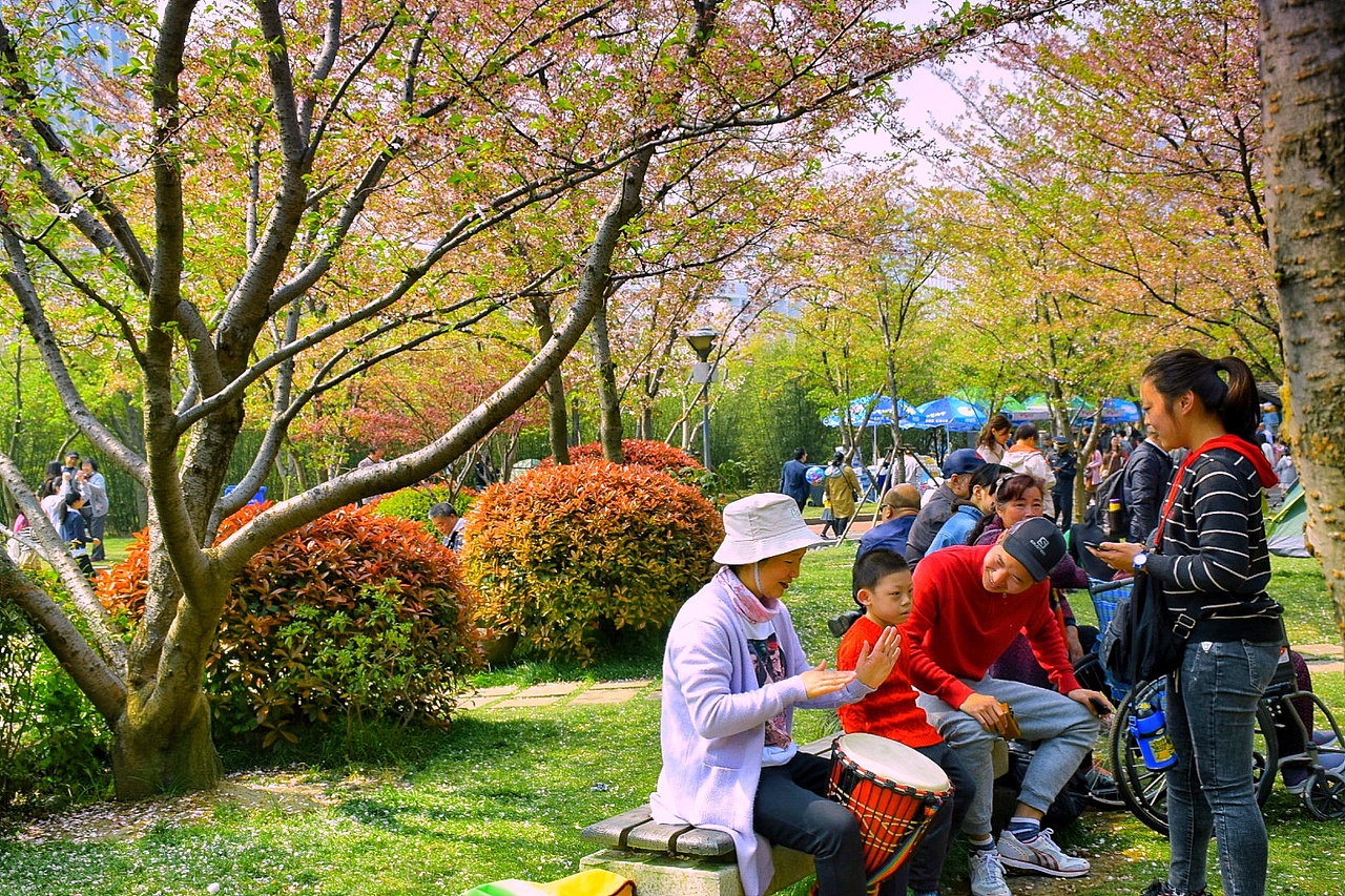 金匮公园樱花美,人更美