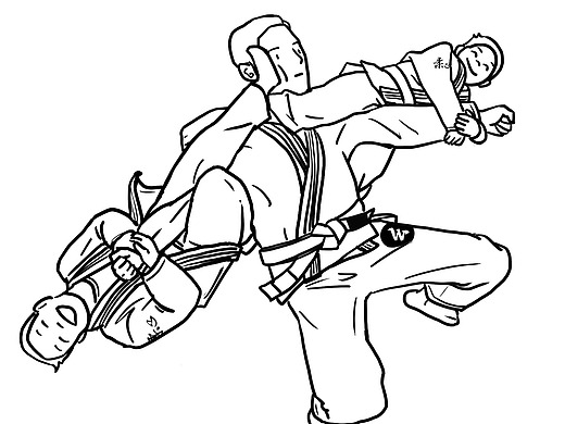 2019上半年【巴西柔术bjj】馆内日常集合