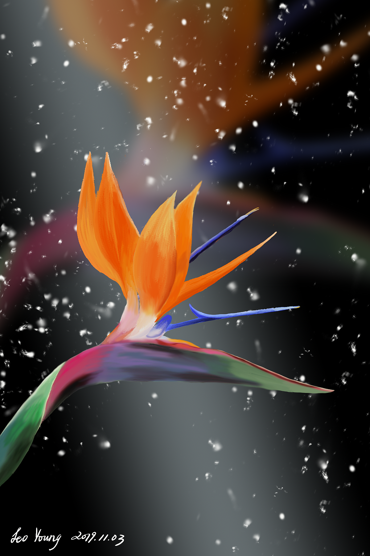 花·四季（图ZMTg2ODI3Mzk2） - 创作习作 - 站酷设计师雷欧阳Young原创素材 - 站酷ZCOOL