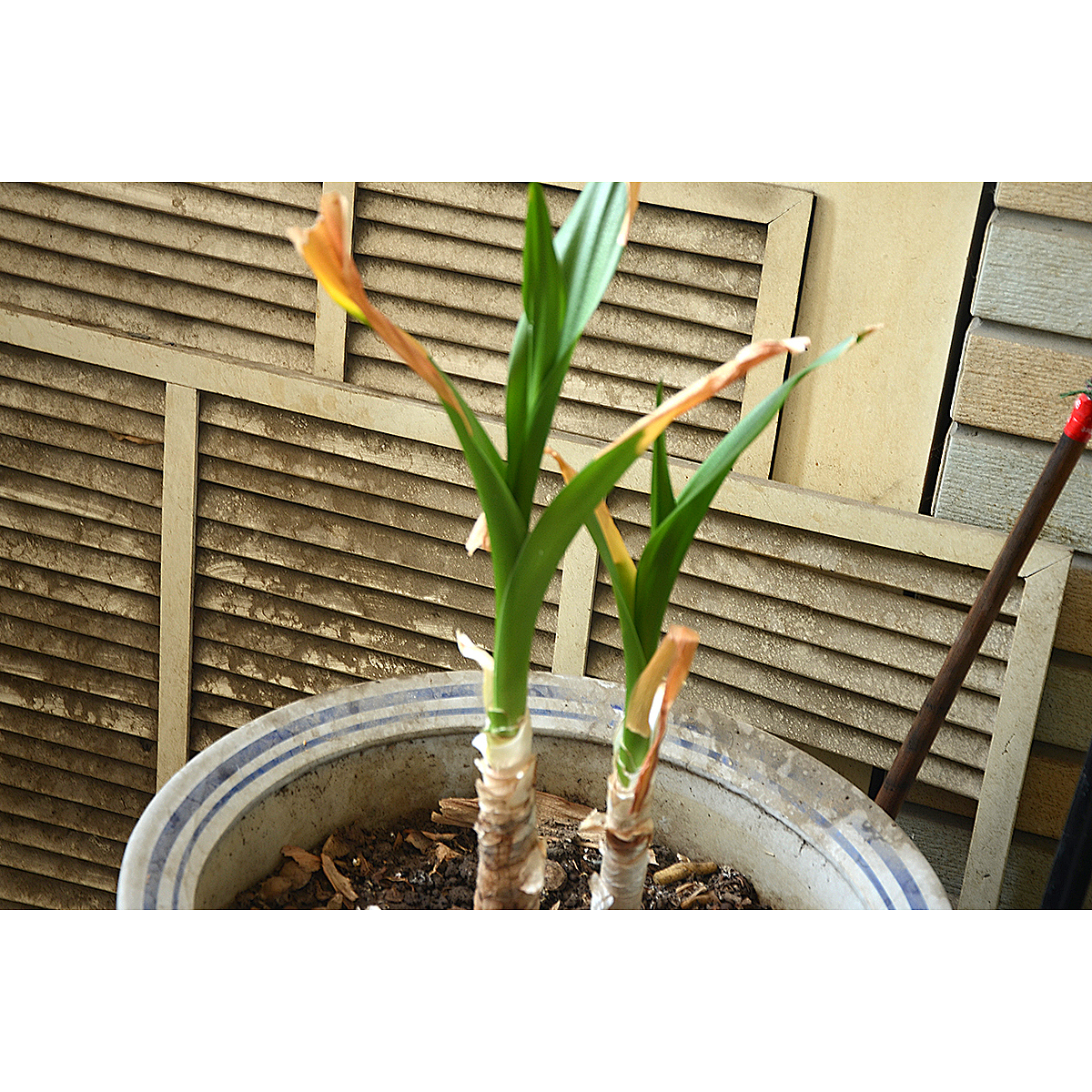 花儿已收到，静静等你！（图ZNTE2MDkyMDQ=） - 产品摄影 - 站酷设计师萧叶儿原创素材 - 站酷ZCOOL