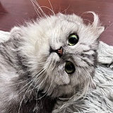 付77的头像