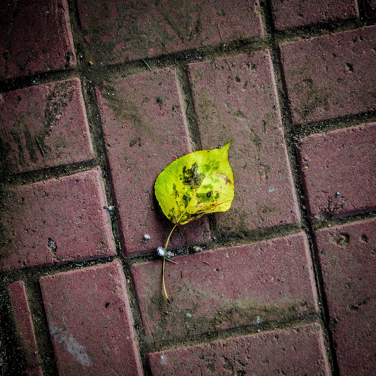 摄影作品（图ZMTQ5NTgxMTI0） - 其他摄影 - 站酷设计师LeBronHolmes原创素材 - 站酷ZCOOL