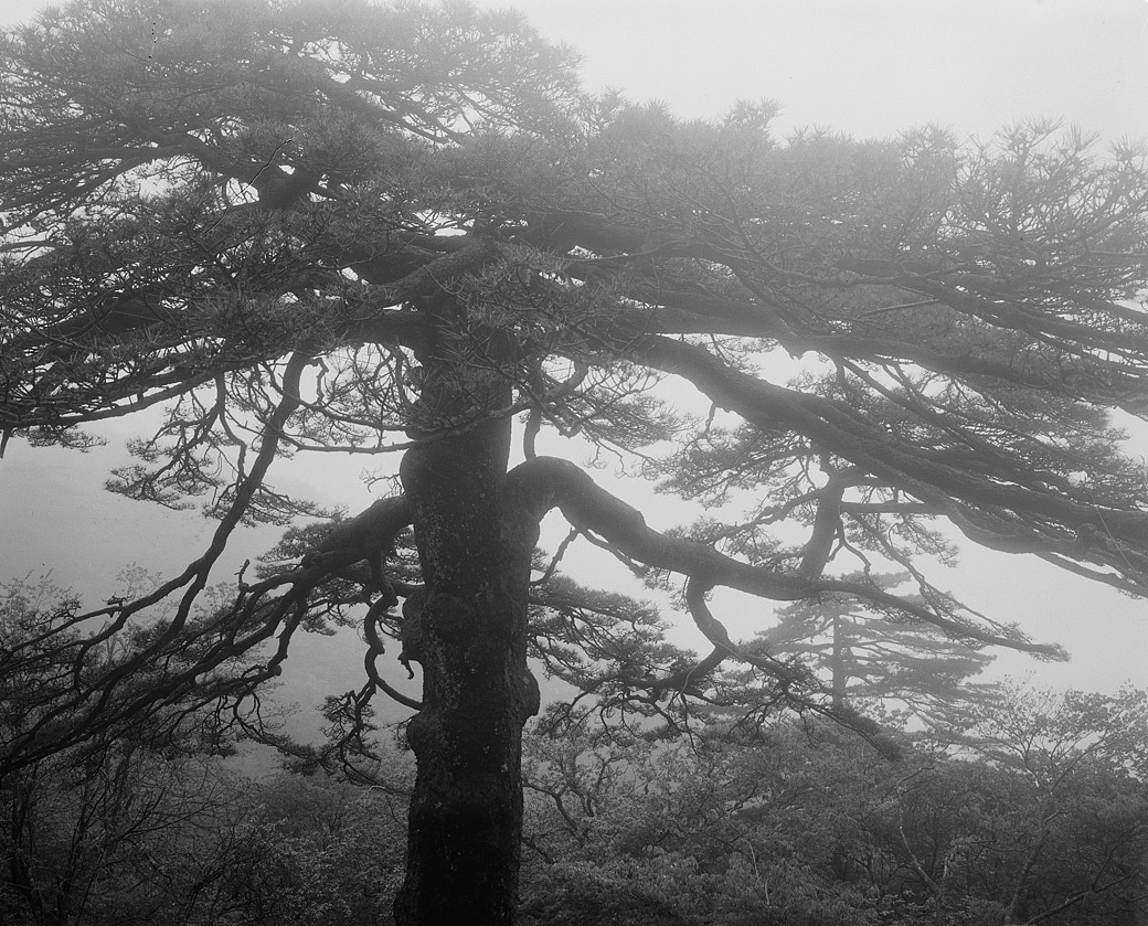 黄山徽州各时期胶片摄影