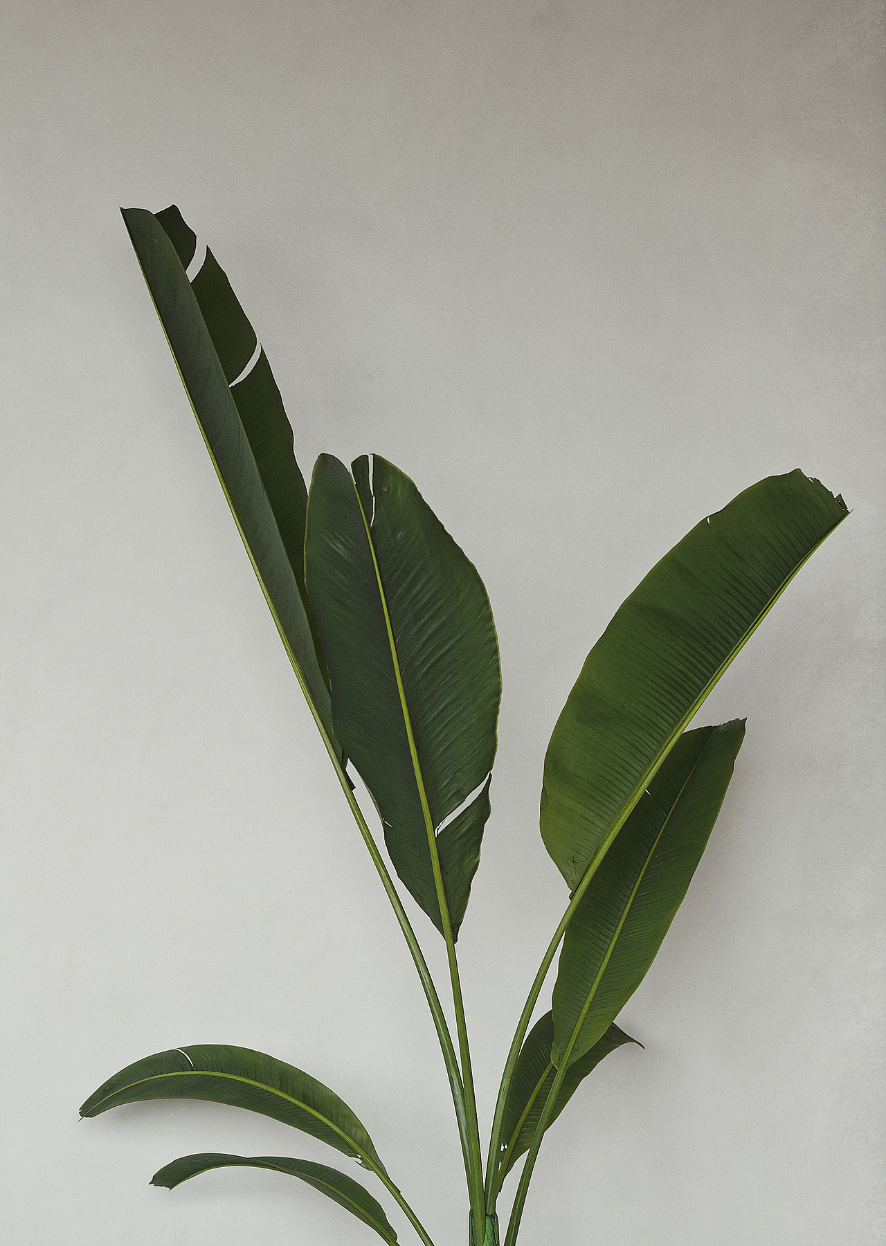 扮家家Corona文洋老师作品（图ZMjI1ODIzMzk2） - 家装设计 - 站酷设计师扮家家室内设计网原创素材 - 站酷ZCOOL