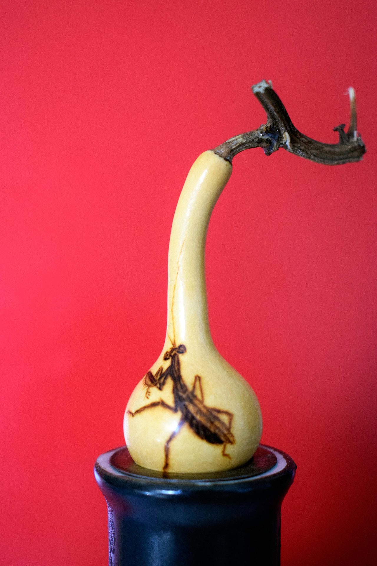 螳螂捕蝉，麻雀在后（图ZMjc3NDU4NDYw） - 其他手工艺 - 站酷设计师langmandahai原创素材 - 站酷ZCOOL