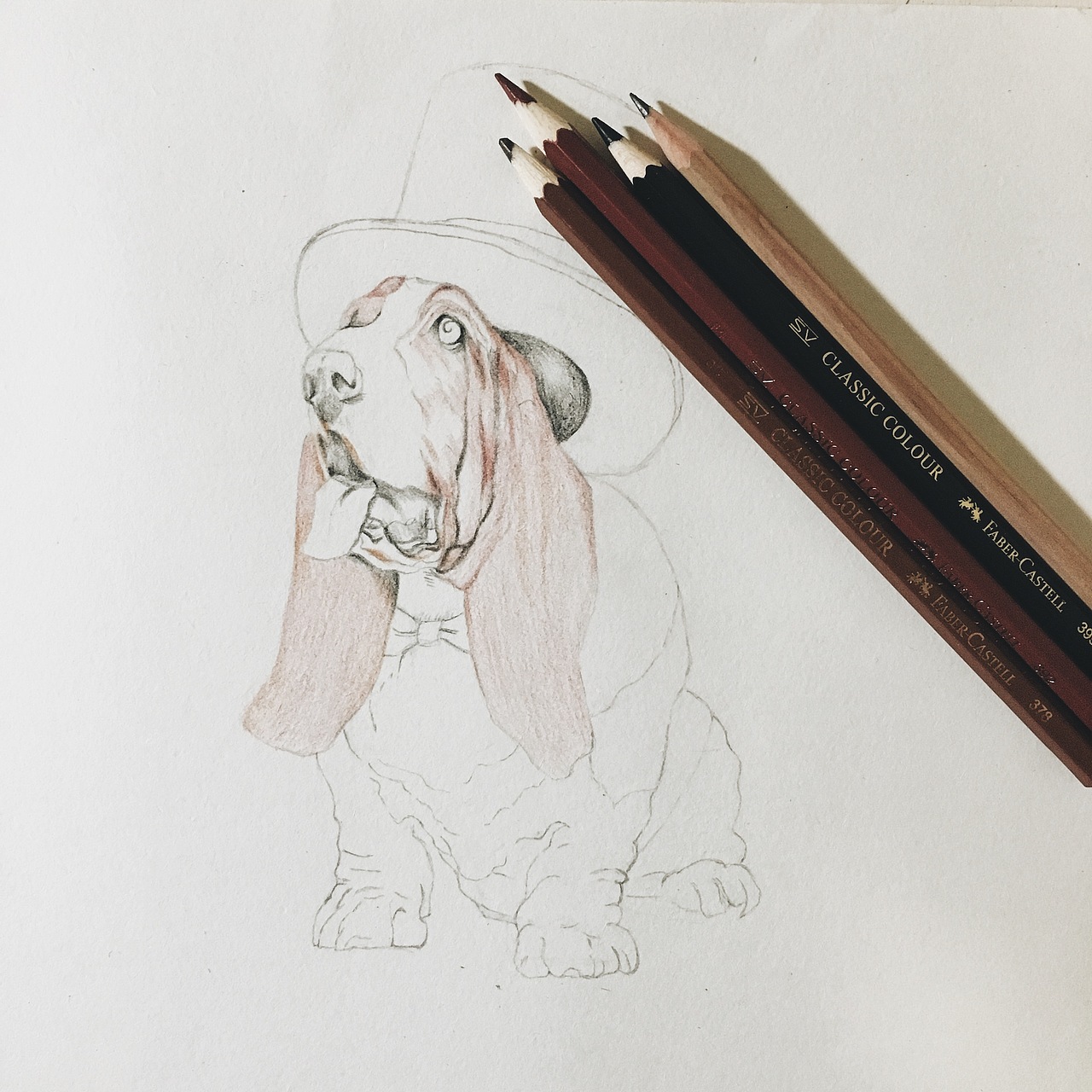 彩铅练习 | 巴吉度犬