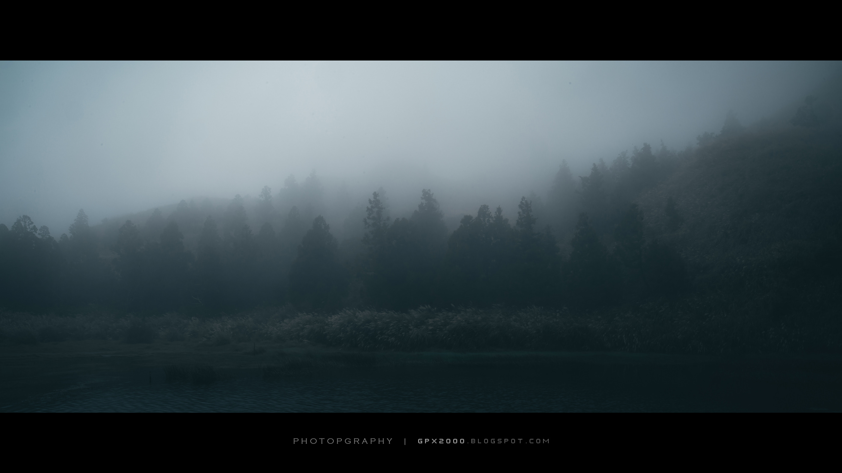 白雀品牌设计的个人主页（封面预览） - 主页封面设置 - 站酷设计师白雀品牌设计原创素材 - 站酷ZCOOL