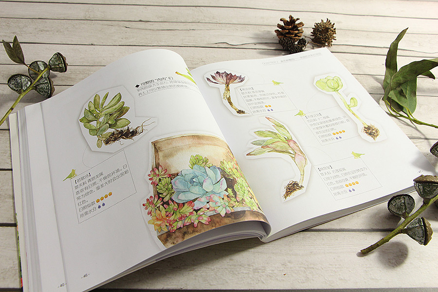 水彩森活绘-2017 水彩作品总结（图ZOTcyMjM4MDg=） - 创作习作 - 站酷设计师浮岛鲸原创素材 - 站酷ZCOOL