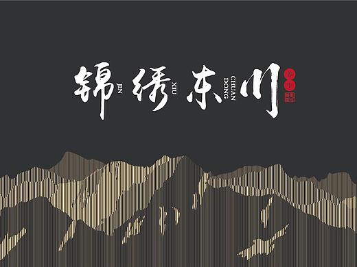 《锦绣东川》滋补养生挂面包装