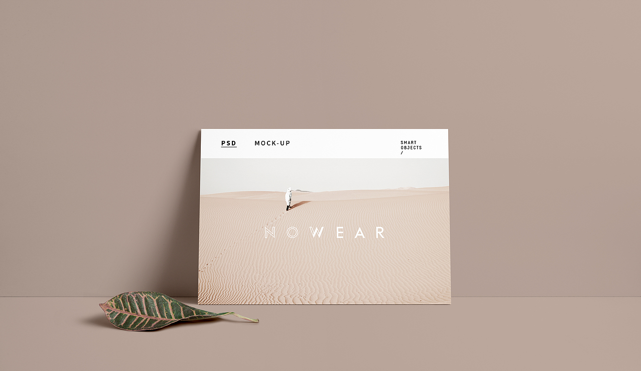 nowear 服装/品牌 | 案列(图ZMTA5MzIwMjU2) - 品牌 - 站酷设计师木丨木原创素材 - 站酷ZCOOL