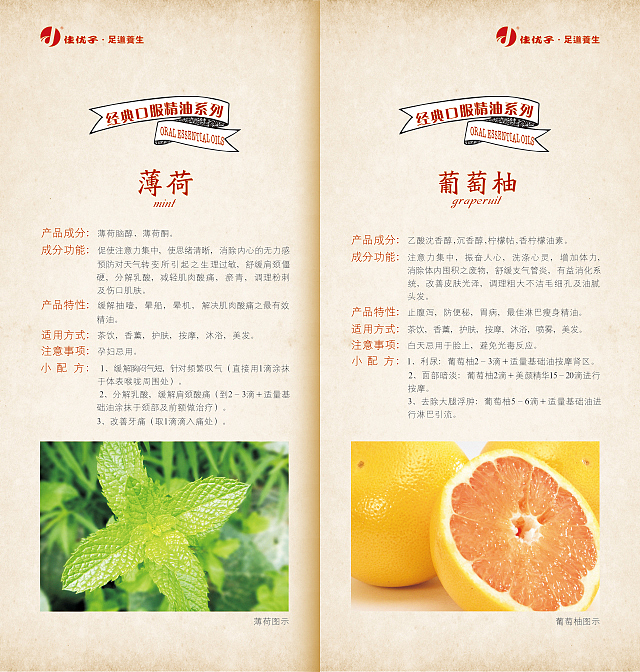 养生小册子 画册 中国风 产品说明 产品手册 古典画册