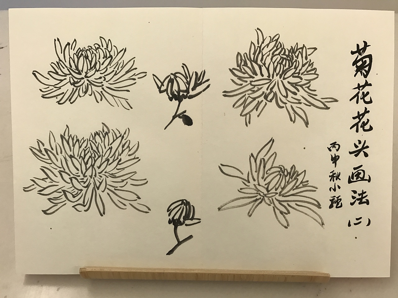 菊谱,丙申年小驴制