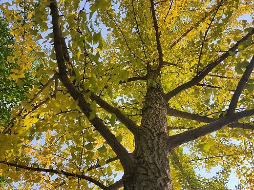 20201019（个人主页-ZNDMwNDE2MzY=） - 人像摄影 - 站酷设计师王霸天是小仙女原创素材 - 站酷ZCOOL