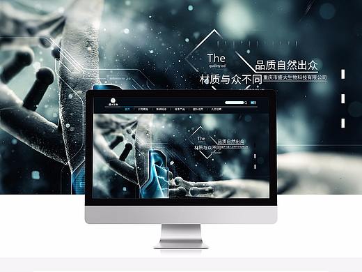 盛大企业站（个人主页-ZMzg2NTE5MzY=） - 企业官网 - 站酷设计师敬QQQQ原创素材 - 站酷ZCOOL