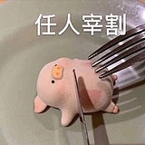 放羊的小驼驼的头像