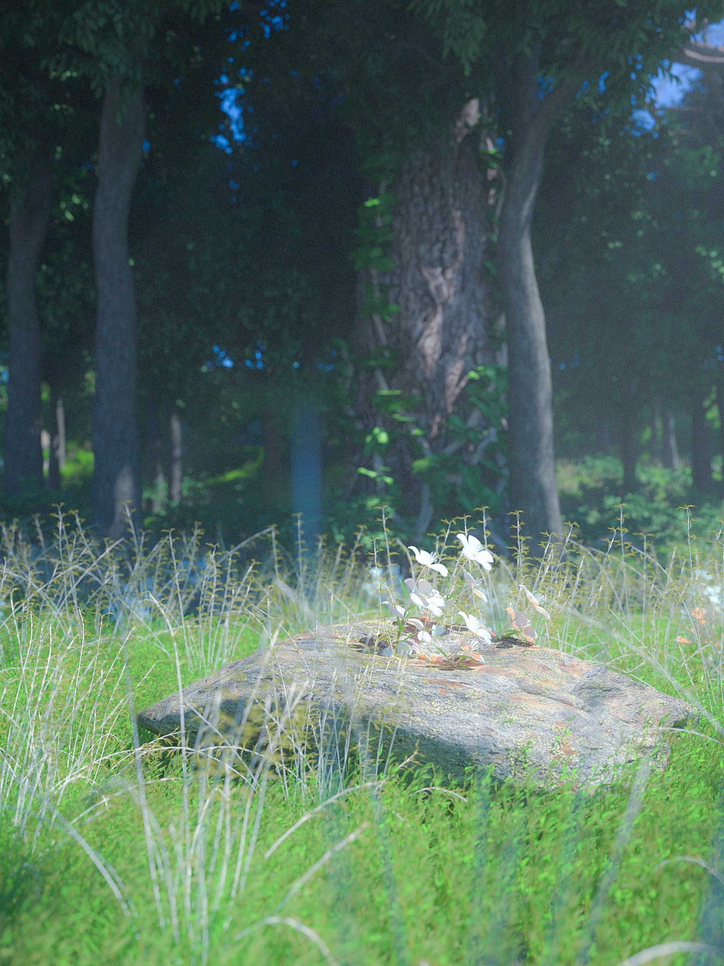 夏末丶微涼的個(gè)人主頁（背景預(yù)覽） - 主頁背景設(shè)置 - 站酷設(shè)計(jì)師夏末丶微涼原創(chuàng)素材 - 站酷ZCOOL