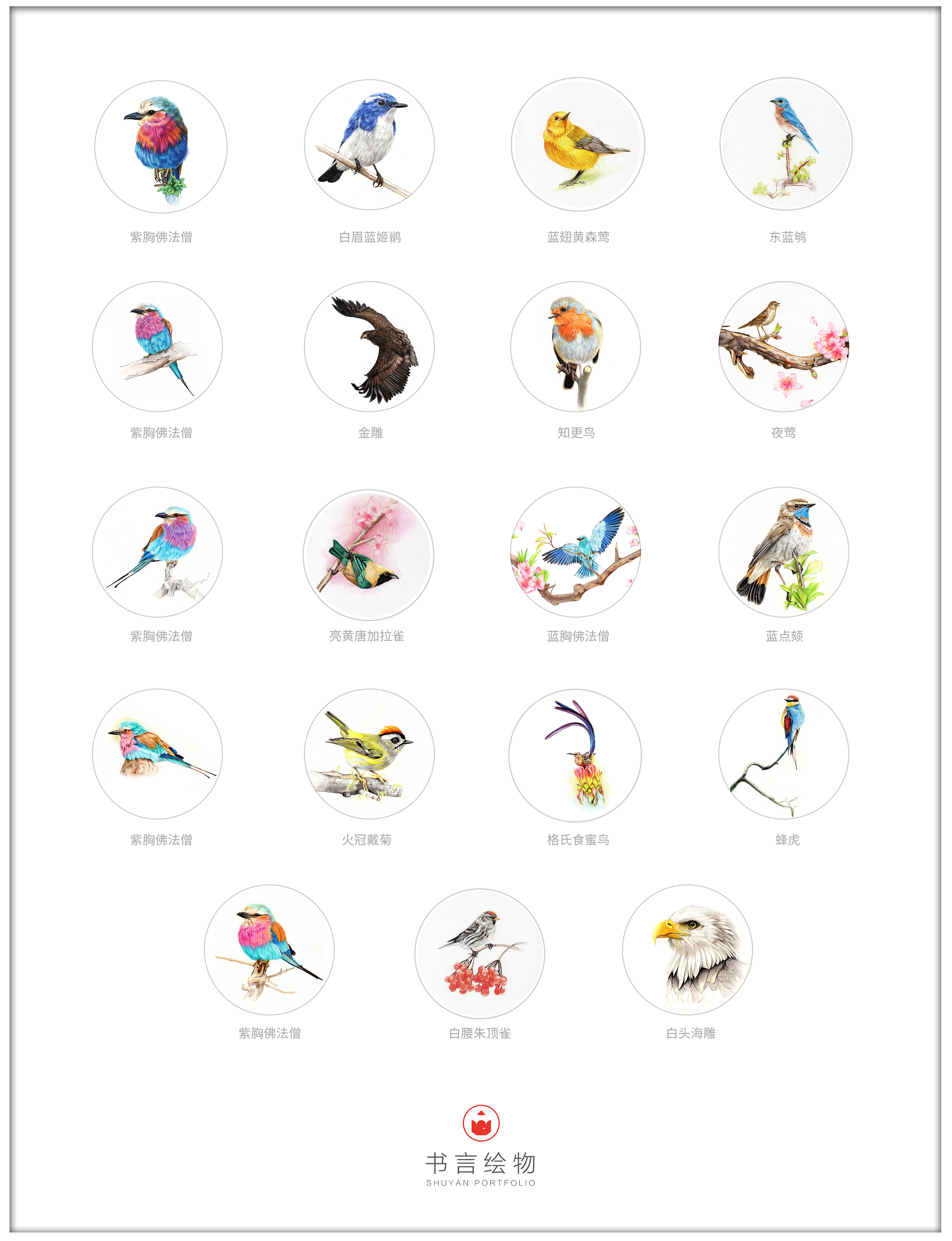 可爱小鸟|插画|插画习作|Amandaxl - 原创作品 - 站酷 (ZCOOL)
