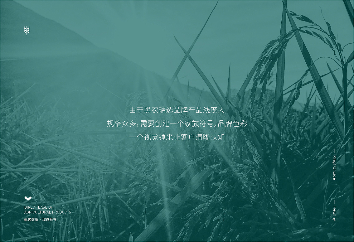 黑农瑞选农产品VI设计,农产品包装设计(图ZMjA3MjYwOTA0) - 品牌 - 站酷设计师毒柚包装设计原创素材 - 站酷ZCOOL