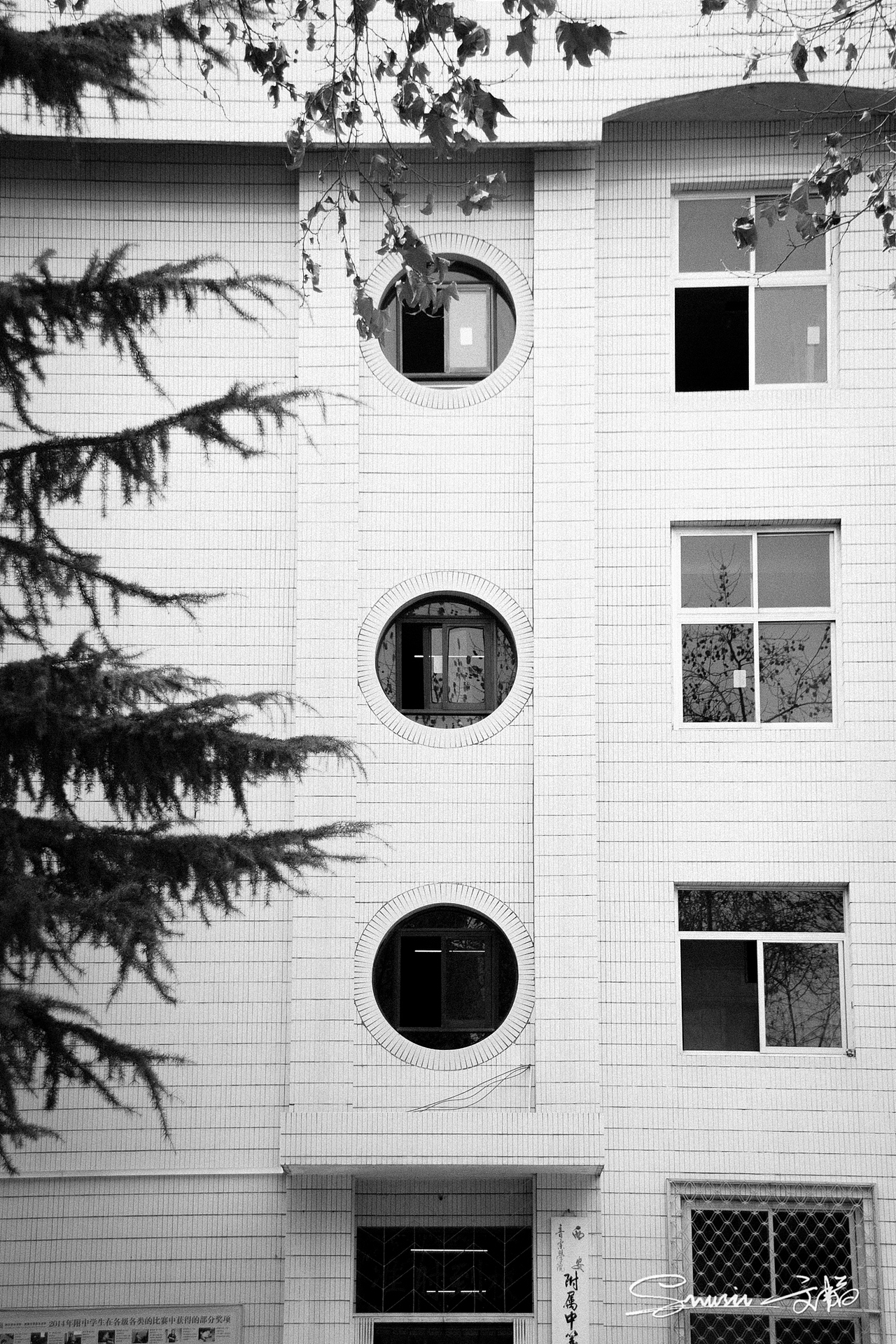 【随拍】春暖花开,一切都是美好而又有希望