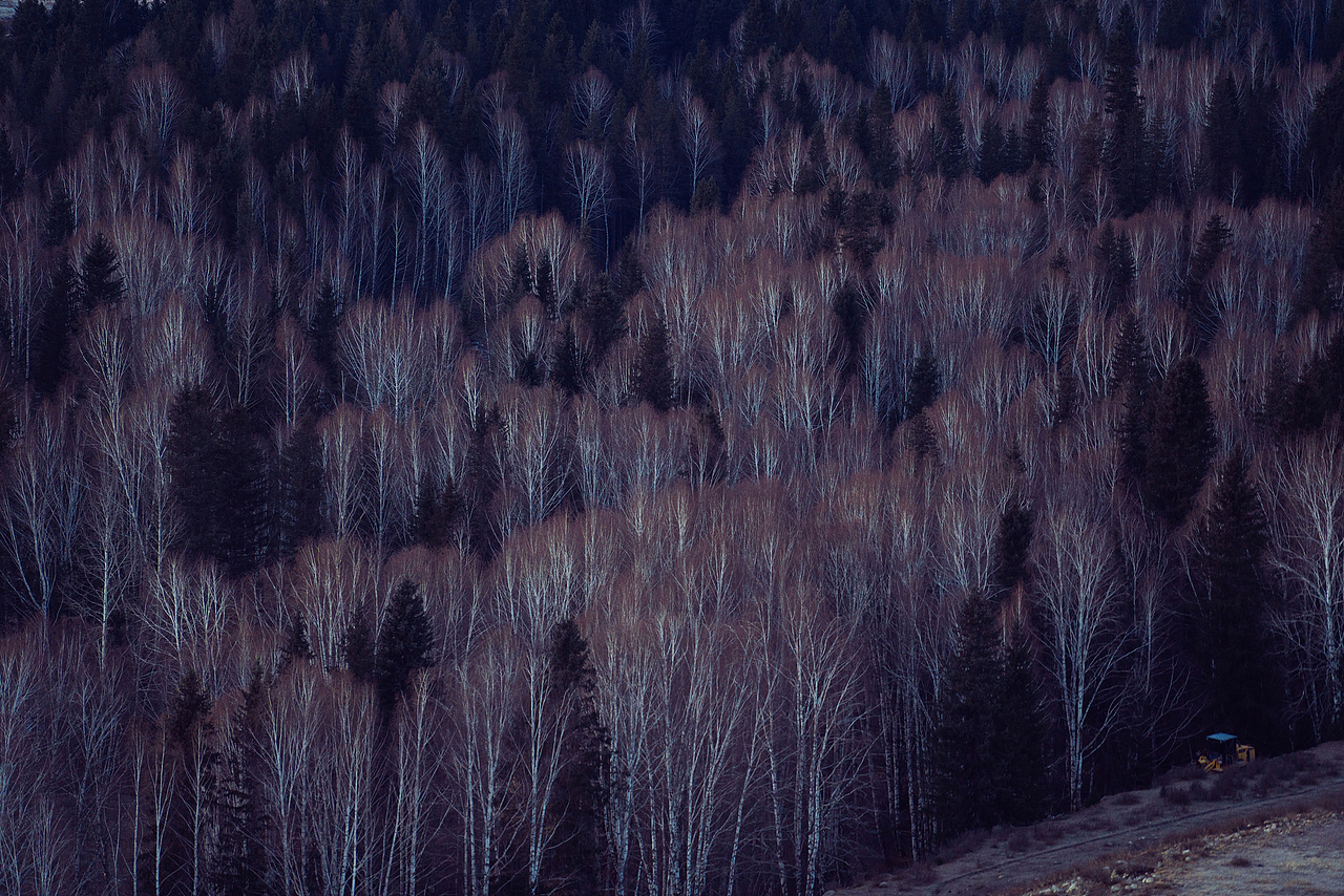 十月新疆（图ZMjI5NjgwMjg4） - 风光摄影 - 站酷设计师ROEMWO原创素材 - 站酷ZCOOL