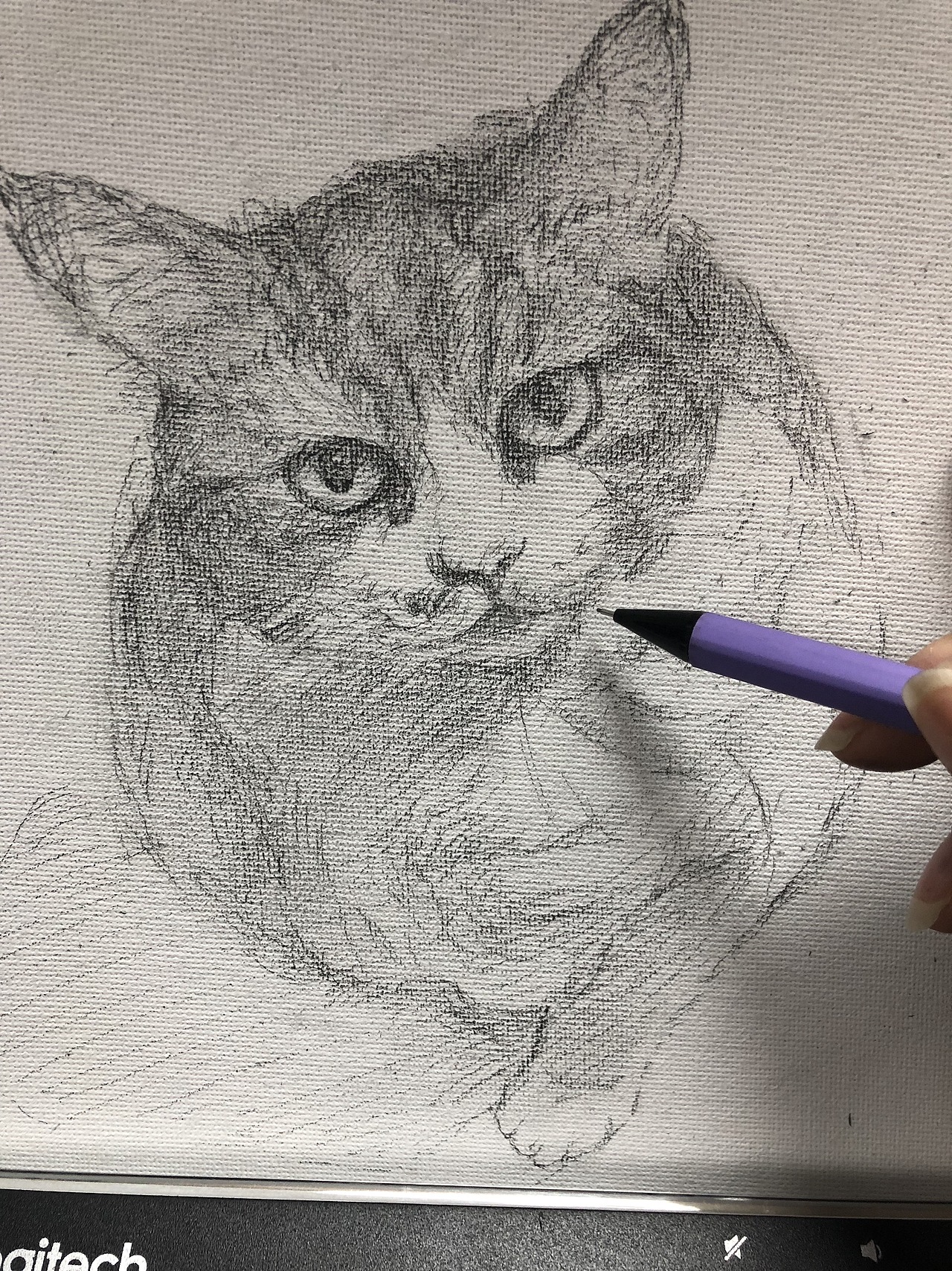 貓系列之楊過（圖ZMTMyMTYxMDE2） - 繪畫 - 站酷設(shè)計(jì)師羽微藍(lán)原創(chuàng)素材 - 站酷ZCOOL