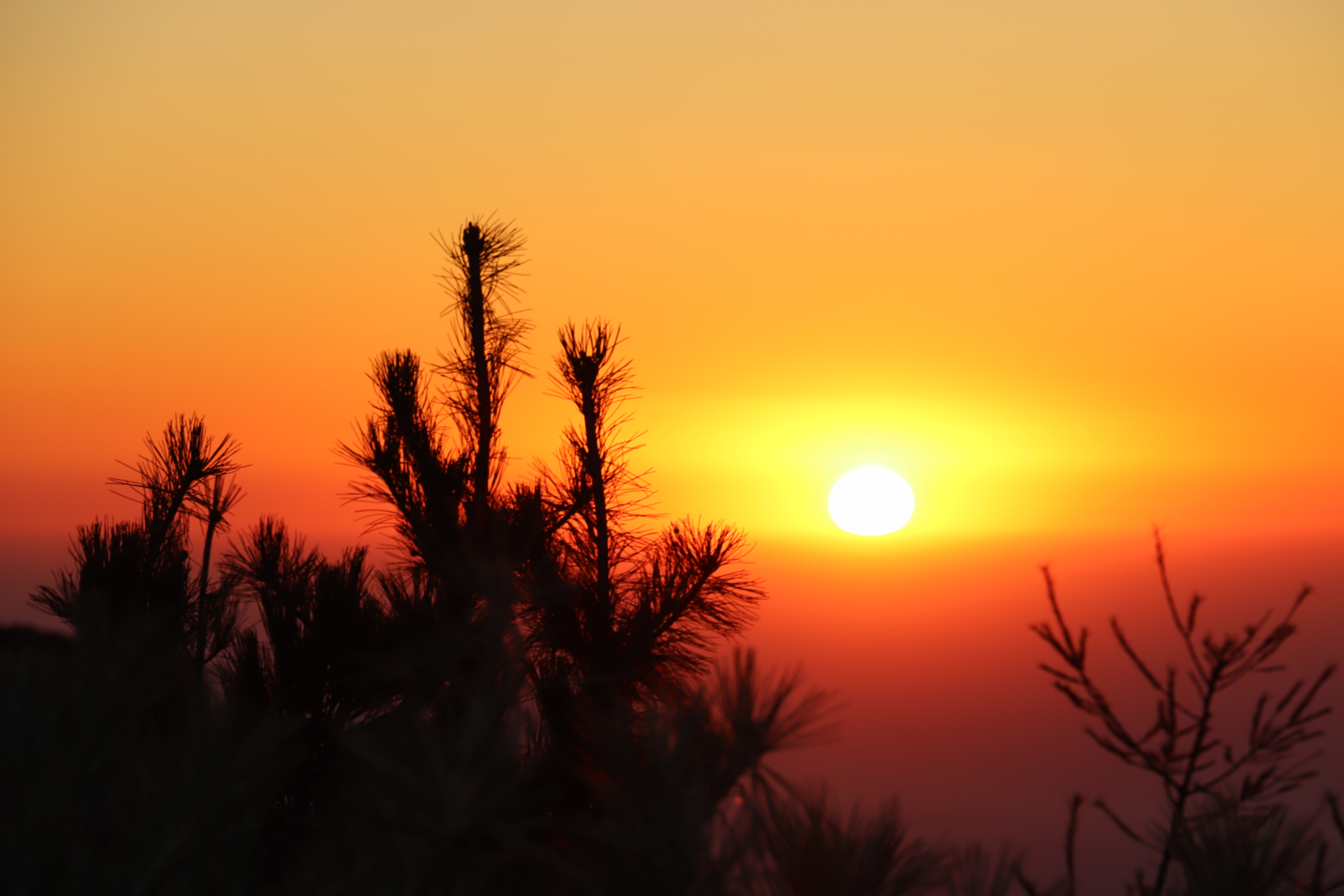 放飞的鸟儿的个人主页（封面预览） - 主页封面设置 - 站酷设计师放飞的鸟儿原创素材 - 站酷ZCOOL