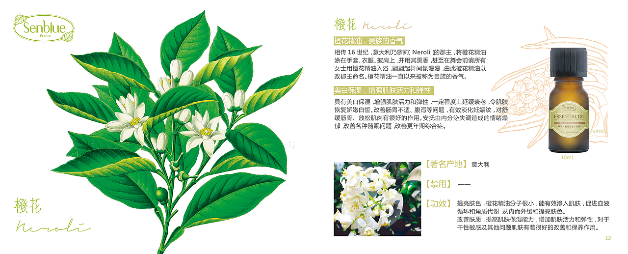 植物精油画册设计（图ZMTY4ODcxOTI0） - 书籍/画册 - 站酷设计师我是阿长原创素材 - 站酷ZCOOL