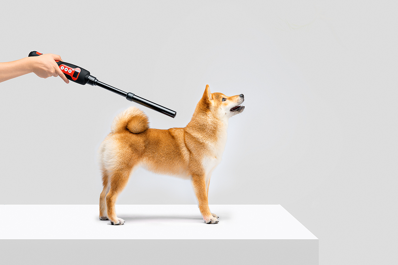 壹宠壹芯|宠物芯片拍摄