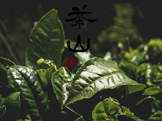 苍山上的一小片茶园