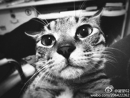 我是一个懒家伙（图ZMjM2MjA5Njg=） - 新锐潮流插画 - 站酷设计师花花er原创素材 - 站酷ZCOOL