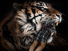 那是，魔幻的一天。