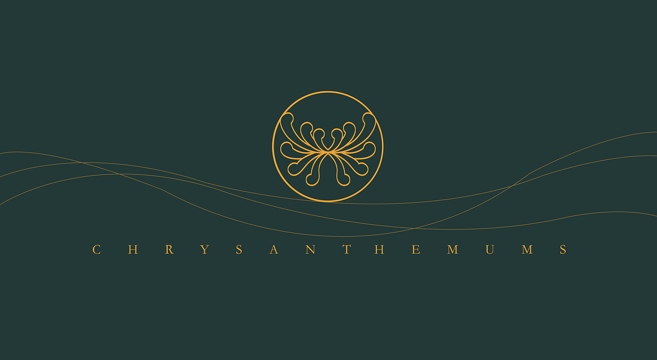 菊礼—麻城地标优品包装设计大赛二等奖（图ZMjMyMDUxNzI4） - 包装 - 站酷设计师行走的BIG兔画师原创素材 - 站酷ZCOOL