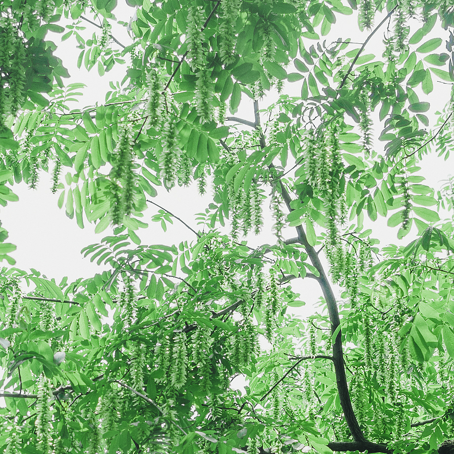 初夏.阳光的味道（图ZNzg4ODEzODQ=） - 人像摄影 - 站酷设计师echoraymond原创素材 - 站酷ZCOOL