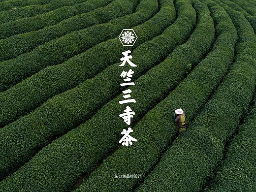天竺三寺茶_茶品牌及茶包装设计