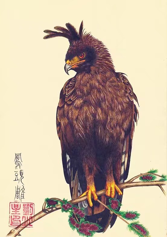 鬼马刺客:画画?画个鸟!