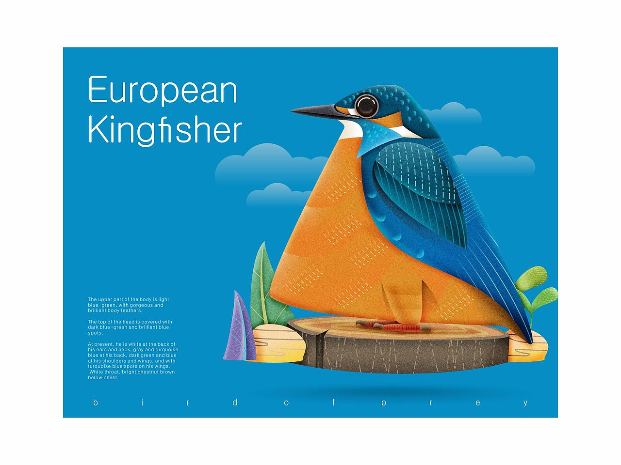 鸟儿（图ZMjEwNTYzNDUy） - 绘本 - 站酷设计师言身寸言身寸原创素材 - 站酷ZCOOL